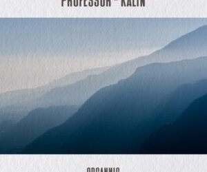 Professor Kalin MP3 DOWNLOAD