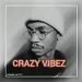 Luxury SA Crazy Vibez MP3 DOWNLOAD