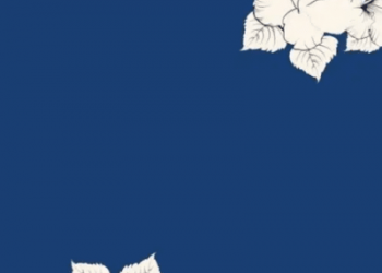 Nutty Nys Bliss MP3 DOWNLOAD