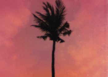 Jay Jody, A-Reece & Marcus Harvey Purple Palm Trees MP3 DOWNLOAD