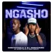 Imnotsteelo & DJ Awakening Ngasho ft. Musa Keys & Sino Msolo MP3 DOWNLOAD